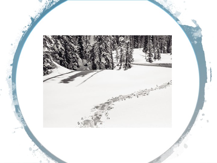 Paysage recouvert de neige. Plusieurs traces de pas dans la neige.